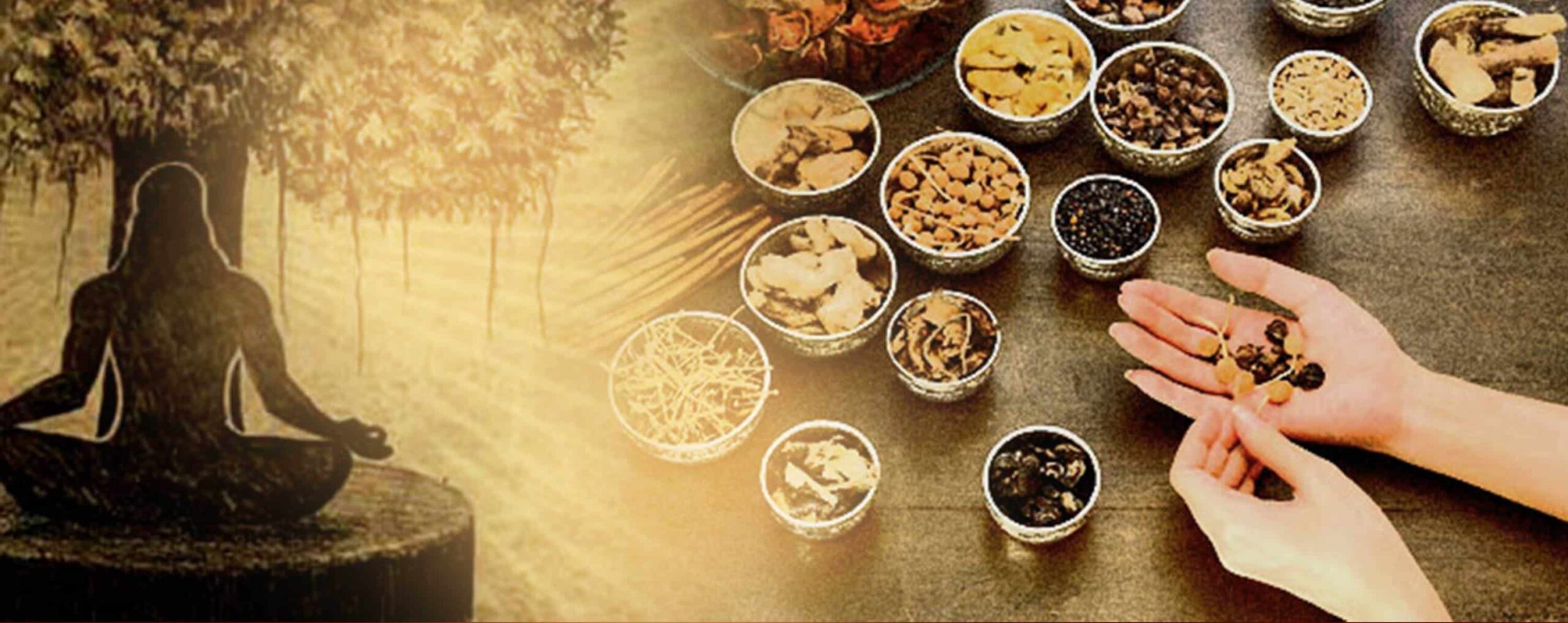 What Is Ayurveda? A Beginner’s Guide to Ancient Indian Healing
