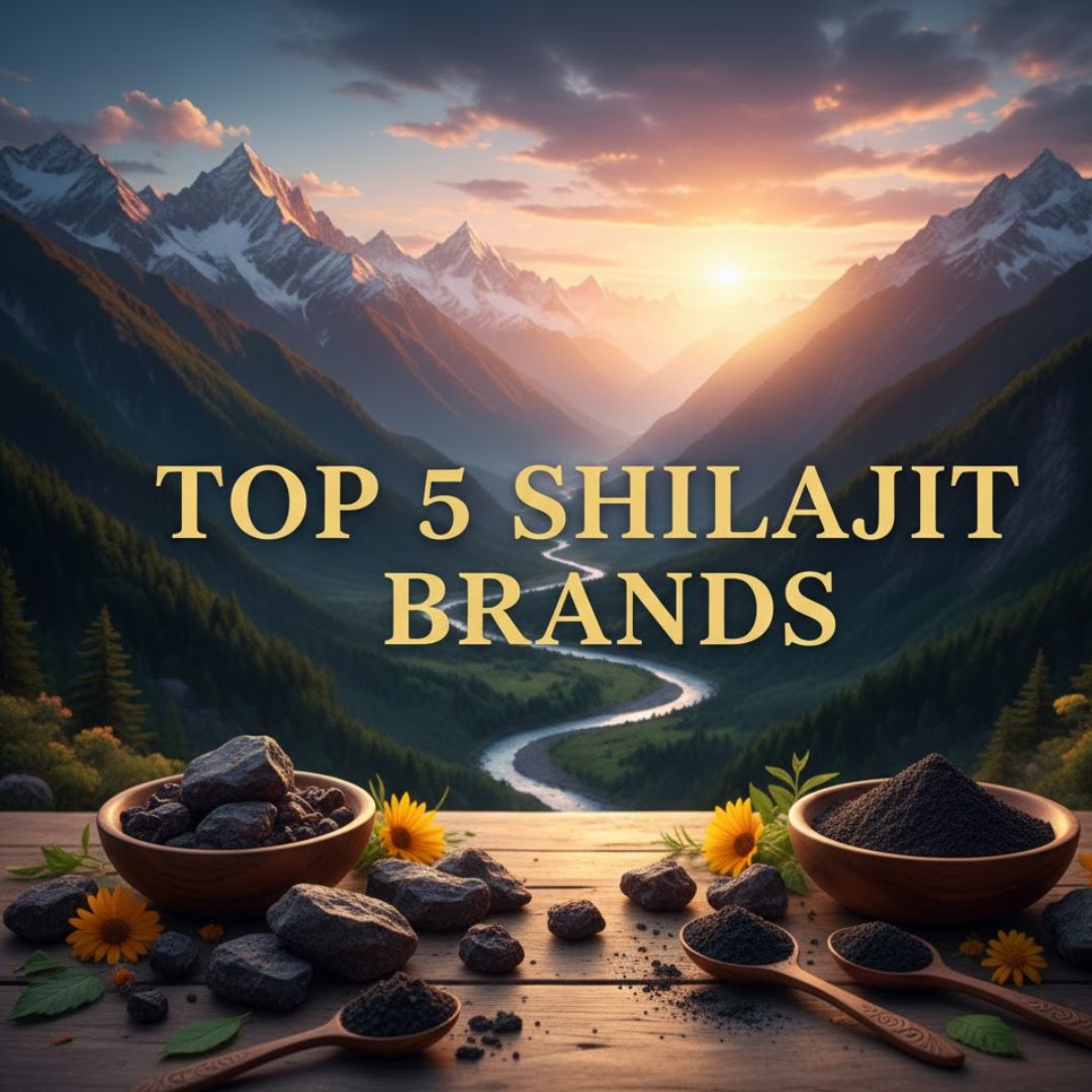 Top 5 Shilajit Brands In India 2025