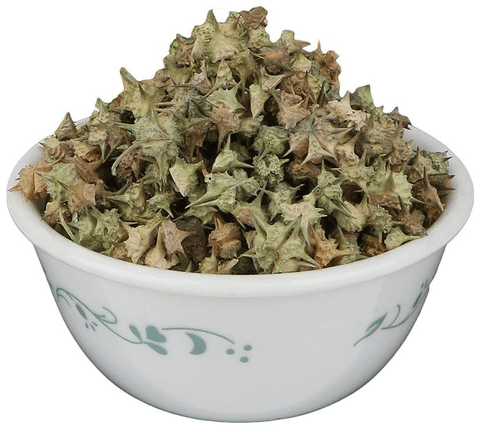 Top Ayurvedic Treatment for Male Sex Problems That Actually Works 8 Gokshura