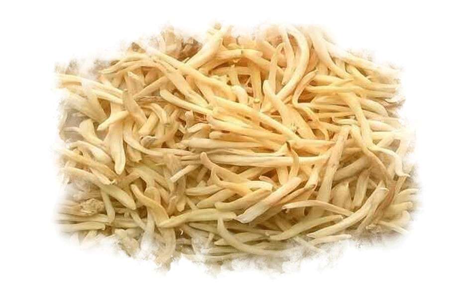 Top Ayurvedic Treatment for Male Sex Problems That Actually Works 6 Safed Musli