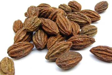 Haritaki: Benefits, Uses, Dosage & Side Effects in Ayurveda