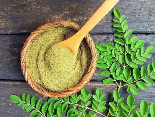 Moringa Powder: Benefits, Uses, Nutrition, Dosage, Side Effects, and How to Use It Daily