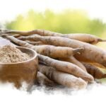 Shatavari Benefits for Women