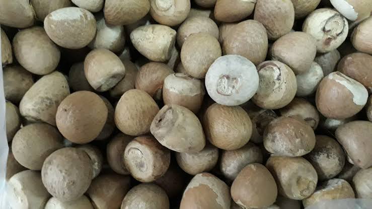 Supari (Areca Nut): Benefits, Uses, Side Effects, Cancer Risk & What Science Says 1 Supari