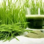 Wheatgrass Powder