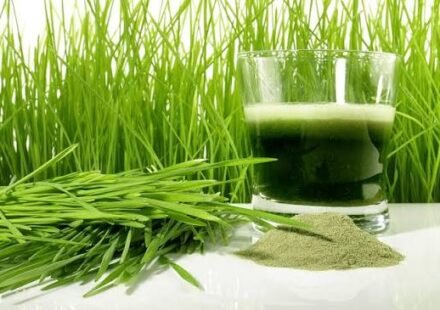 Wheatgrass Powder