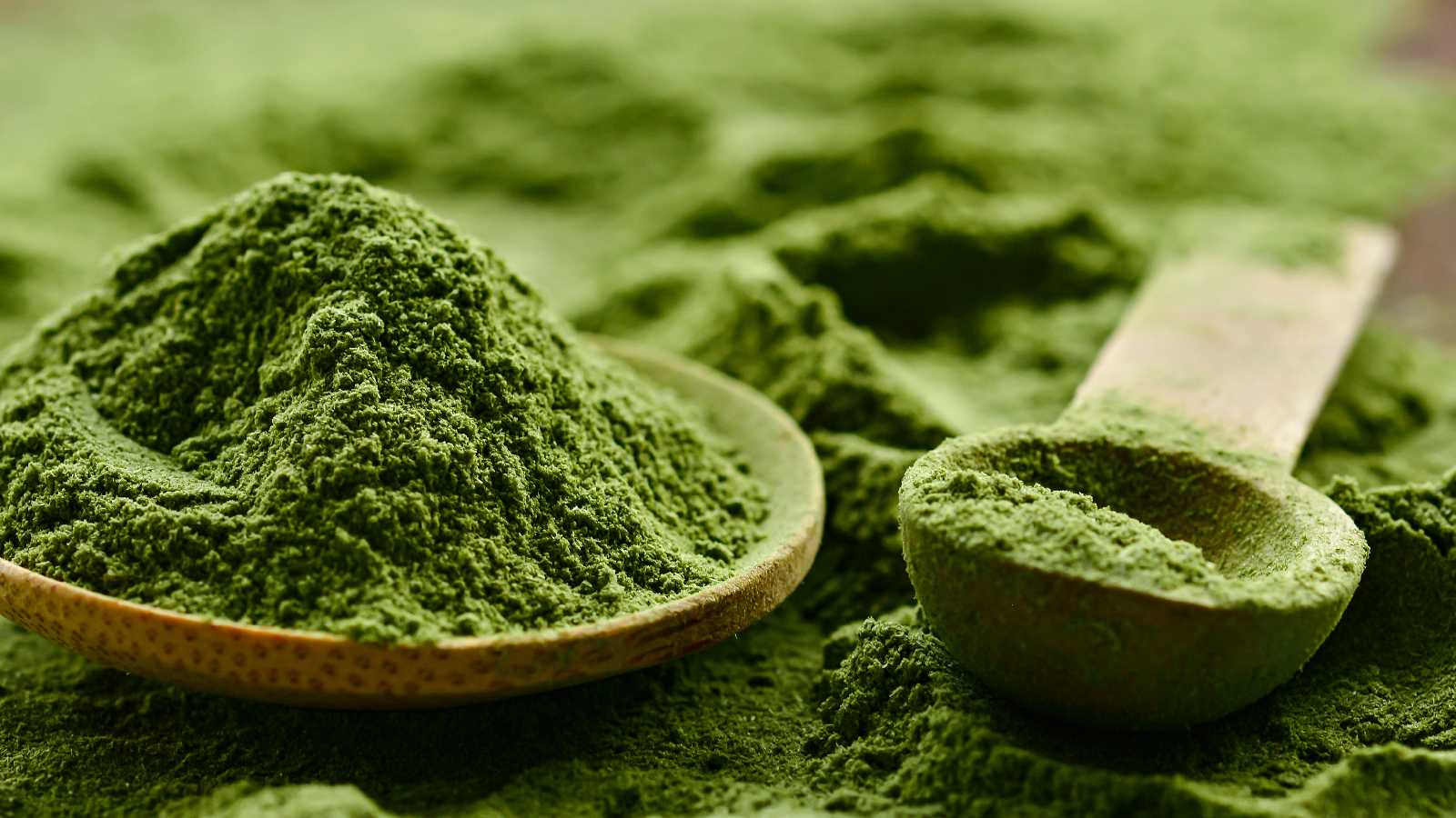 Wheatgrass Powder: Benefits, Uses, Nutrition, Side Effects & How to Use It
